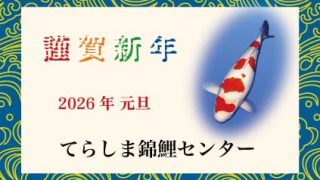 新年あけましておめでとうございます