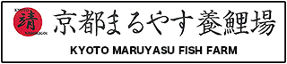 京都まるやす養鯉場バナー