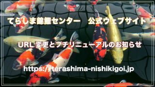 公式ウェブサイト URL変更とプチリニューアルのお知らせ